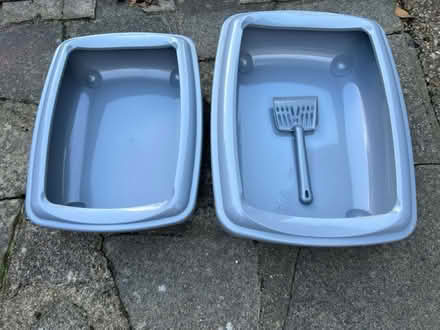 Photo of free 2 cat litter trays (Twickenham TW2) #1