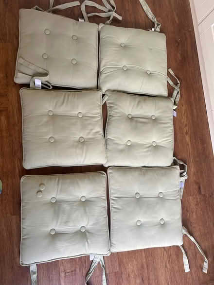 Photo of free Sage green seat cushions (Stanway, CO3) #1