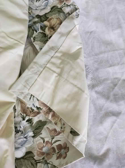 Photo of free Curtains (Roehampton SW15) #3