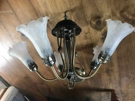 Photo of free Candelabra Ceiling Light with shades and bulbs (Trawden BB8) #3