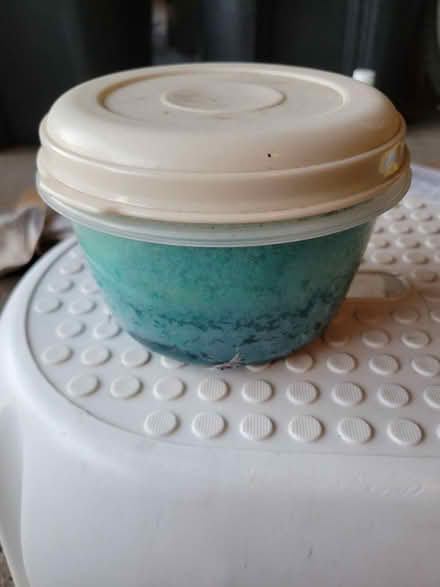 Photo of free Old Miracle Grow-Livonia (Livonia) #1