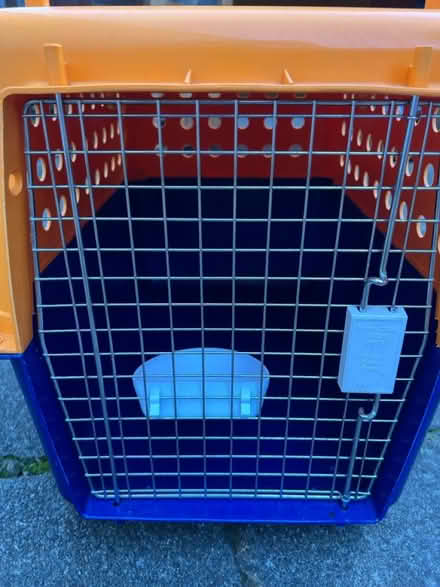 Photo of free PP30 pet crate (Twickenham TW2) #2