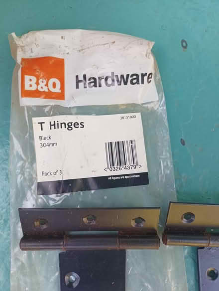 Photo of free 3 x T hinges (South reading RG2) #1