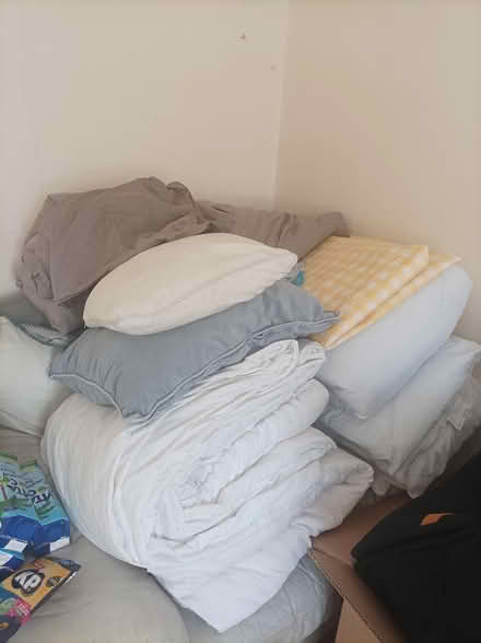 Photo of free Duvets and pillows (Manchester M13) #1