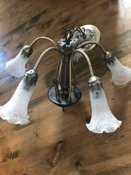 Photo of free Candelabra Ceiling Light with shades and bulbs (Trawden BB8) #1