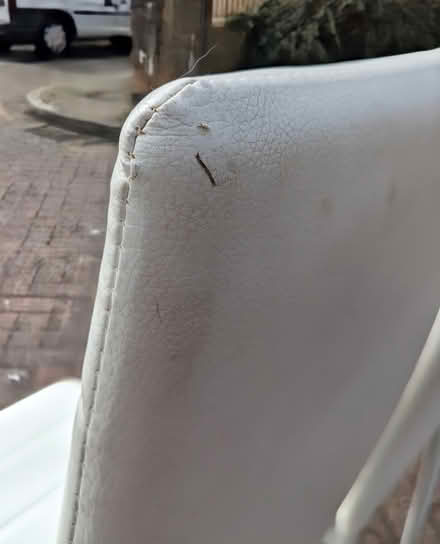 Photo of free Set of 6 Dining Chairs (PL4 Greenbank.) #2