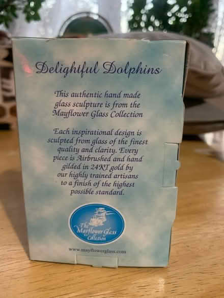 Photo of free Delightful Dolphins (Colney Hatch N10) #2