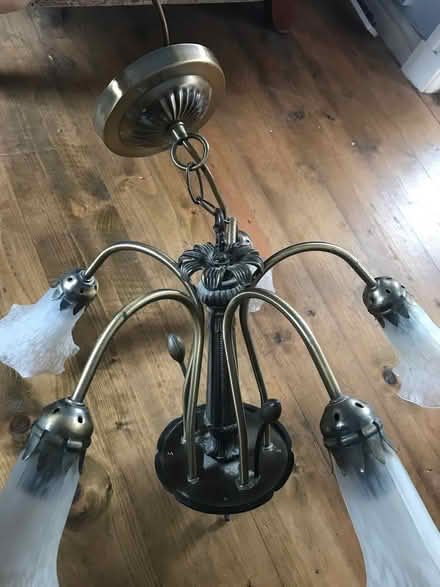 Photo of free Candelabra Ceiling Light with shades and bulbs (Trawden BB8) #2