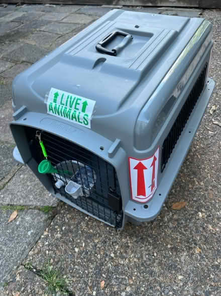 Photo of free Medium pet crate (Twickenham TW2) #1