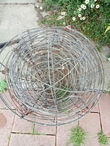 Photo of free Hanging plant baskets (Glen Waverley) #1