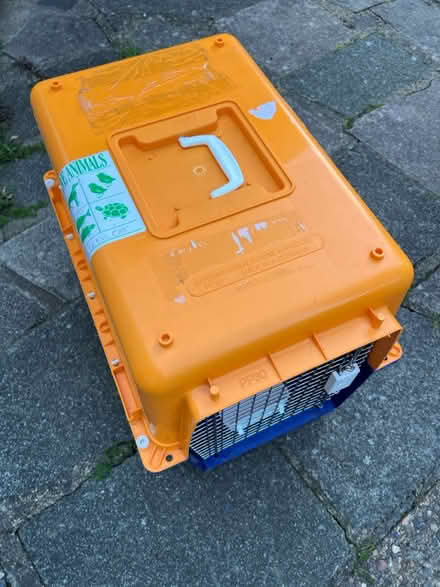 Photo of free PP30 pet crate (Twickenham TW2) #1
