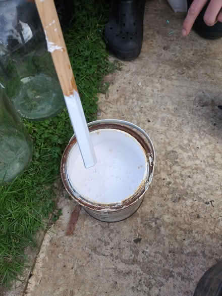 Photo of free White gloss paint (Taunton) #1