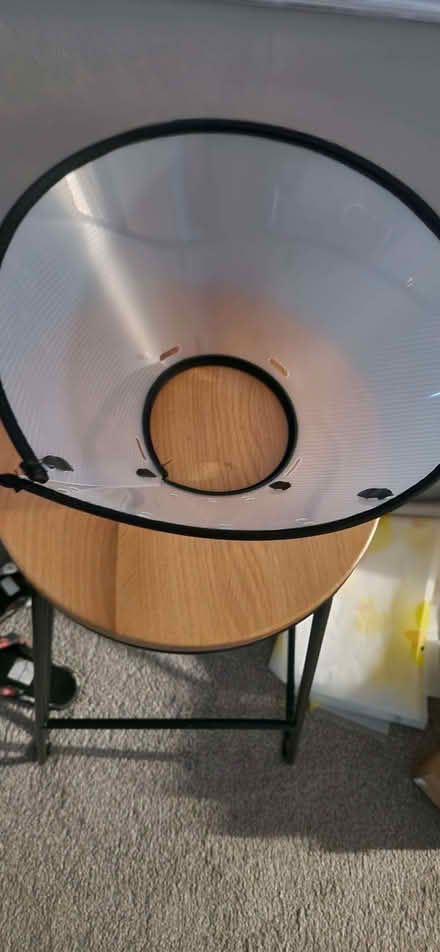 Photo of free Pet Collar (Upton Priory SK10) #1