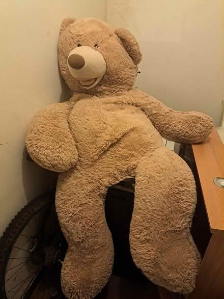Photo of free Huge teddy (Old colwyn) #1