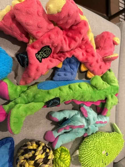 Photo of free Dog toys (East Boston) #1