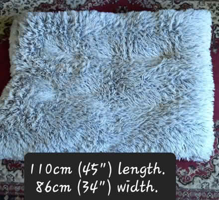 Photo of free DOG bedding (Twyford RG10) #1
