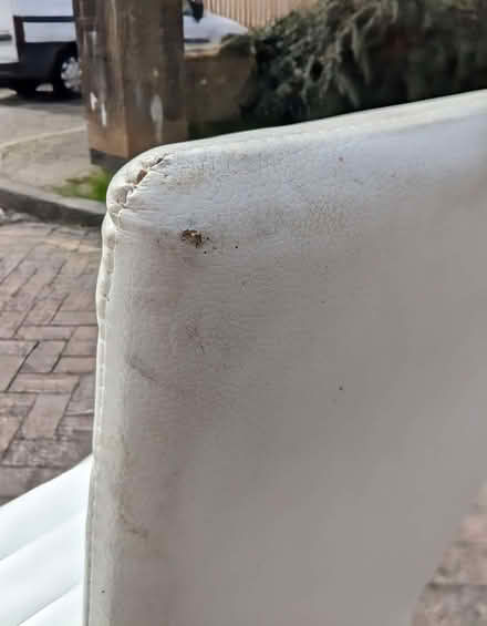 Photo of free Set of 6 Dining Chairs (PL4) #3