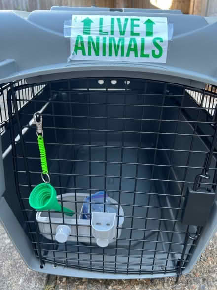 Photo of free Medium pet crate (Twickenham TW2) #2