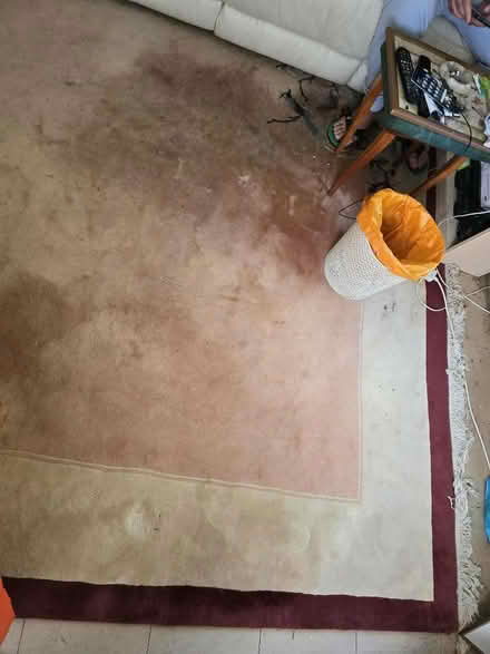 Photo of free Extra thick heavy rug, 3X2 metre (Greenstead CO4) #2