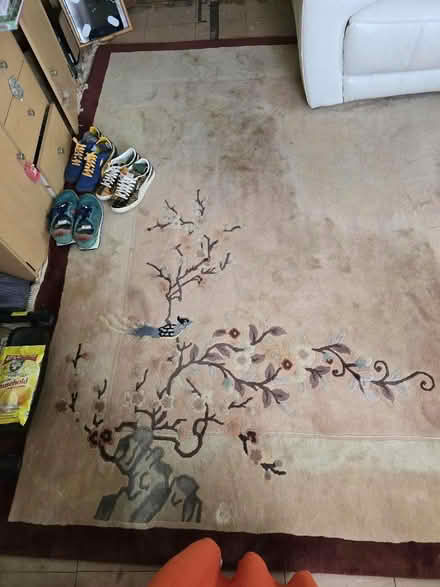 Photo of free Extra thick heavy rug, 3X2 metre (Greenstead CO4) #3