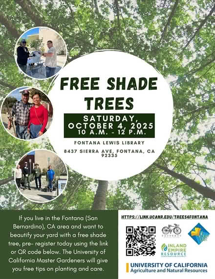 Photo of free Shade Tree Giveaway – Fontana (Fontana, California) #1