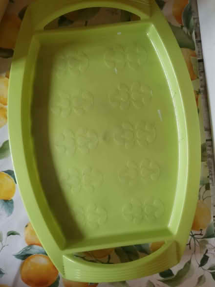 Photo of free tray (Newfield Green S14) #1