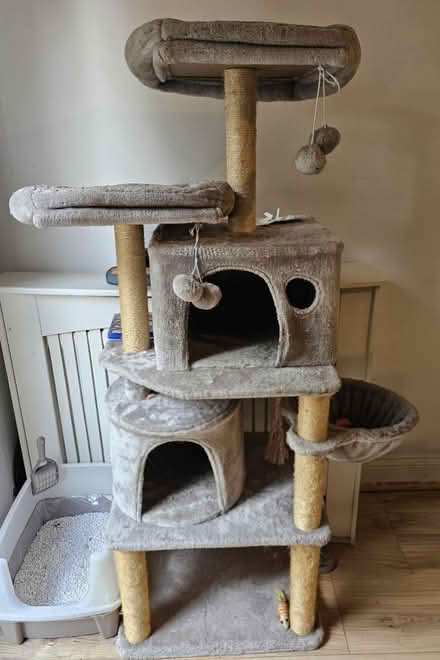 Photo of free Cat tree (light grey, 152cm H) (Petts Wood, BR5) #1