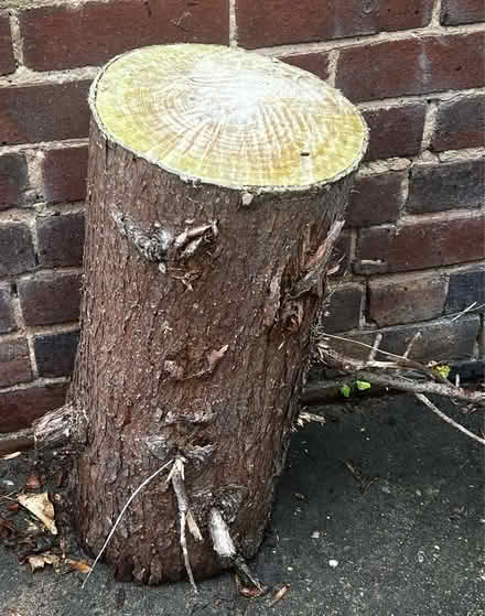 Photo of free 2 wooden logs (New Oscott B73) #3