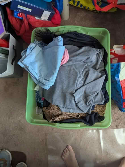 Photo of free Bin of women's clothes (Leedom, Ridley park) #1