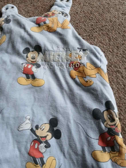 Photo of free Sleeping bag Disney 18-24 months (West Hill TN34) #2