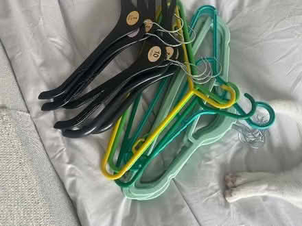 Photo of free Clothes/coat hangers (Warsash SO31) #1