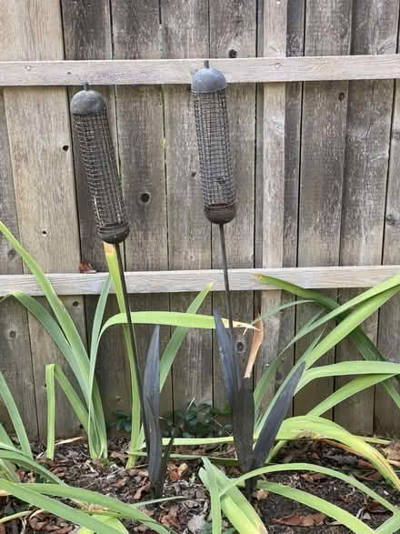 Photo of free Cattail bird feeders (2) (Nr Fresh Pond & Mt Auburn Cem.) #2