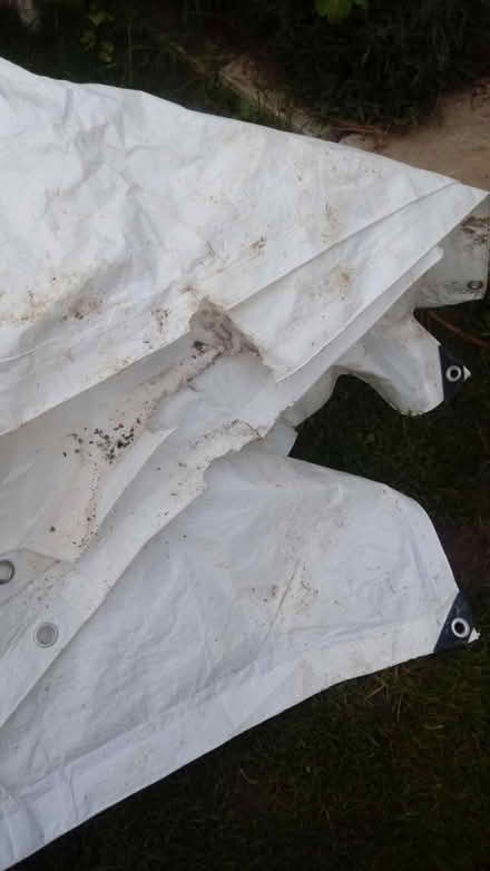 Photo of free Large tarpaulin (Horsham, near Bennetts Field) #1