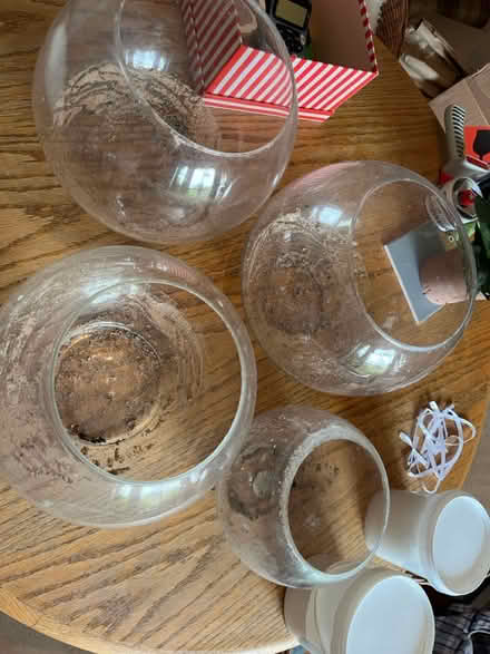 Photo of free Fish bowls (TN24) #1