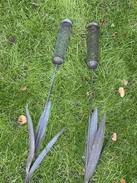 Photo of free Cattail bird feeders (2) (Nr Fresh Pond & Mt Auburn Cem.) #1