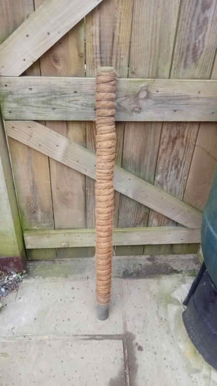 Photo of free Plant post (Horsham, near Bennetts Field) #1