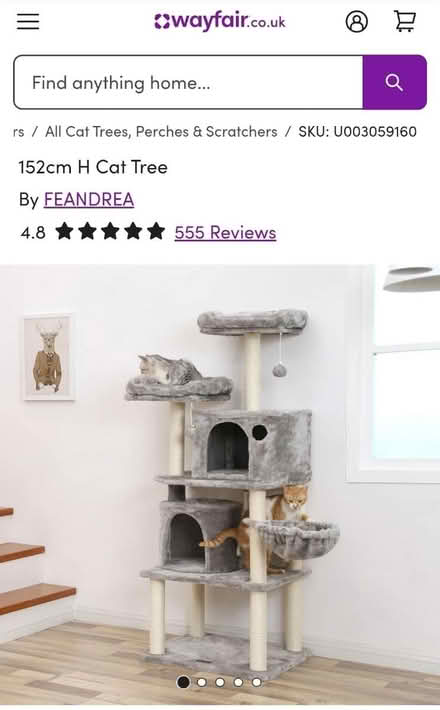 Photo of free Cat tree (light grey, 152cm H) (Petts Wood, BR5) #2