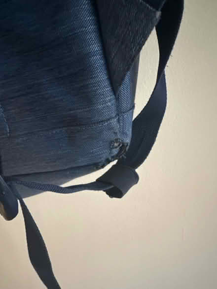 Photo of free Herschel (Brentford TW8) #2