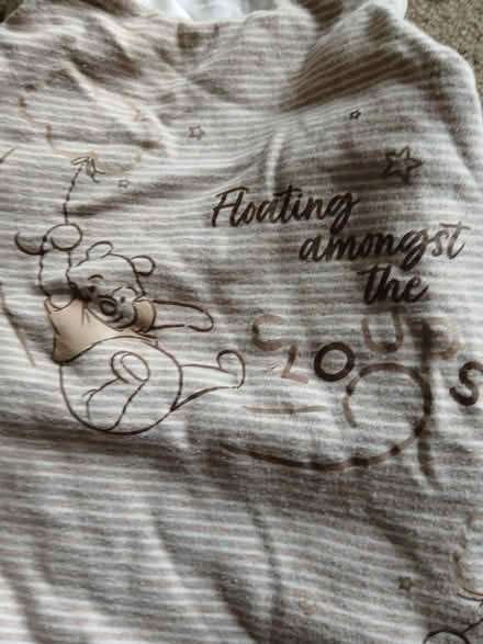 Photo of free Sleeping bag Winnie the poo 0-6 months (West Hill TN34) #2