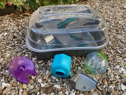 Photo of free 2 hamster cages plus toys (Ashton Gate) #2