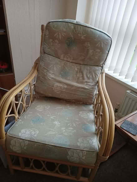 Photo of free Bamboo Conservatory Suite. (Little Herberts GL53) #2