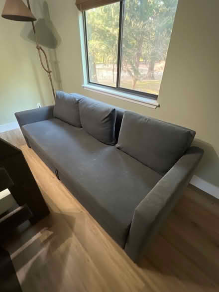 Photo of free Sofa bed (Kemp) #1