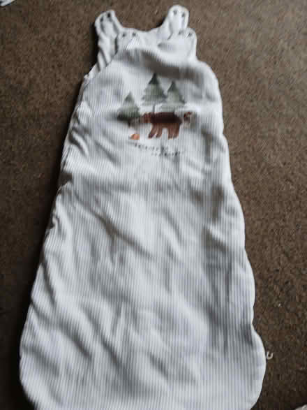 Photo of free Sleeping bag 18-24 months (West Hill TN34) #1