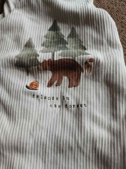 Photo of free Sleeping bag 18-24 months (West Hill TN34) #2