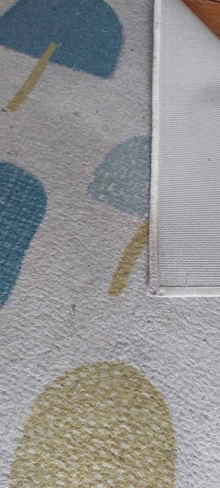 Photo of free Grubby rug (Lower Weston) #3