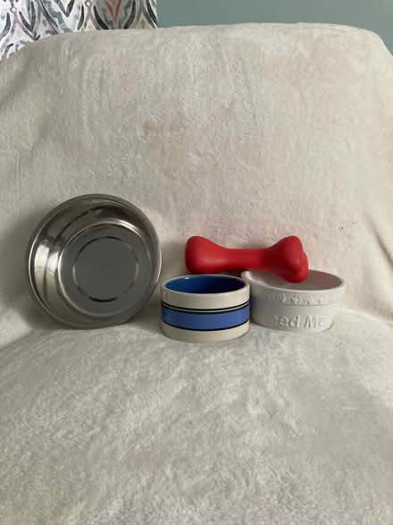 Photo of free Dog dishes (Woburn) #1