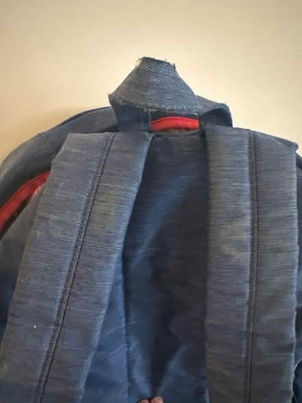 Photo of free Herschel (Brentford TW8) #4