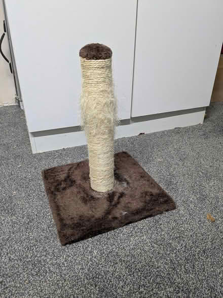 Photo of free Cat scratching post (Newcastle Under Lyme) #1