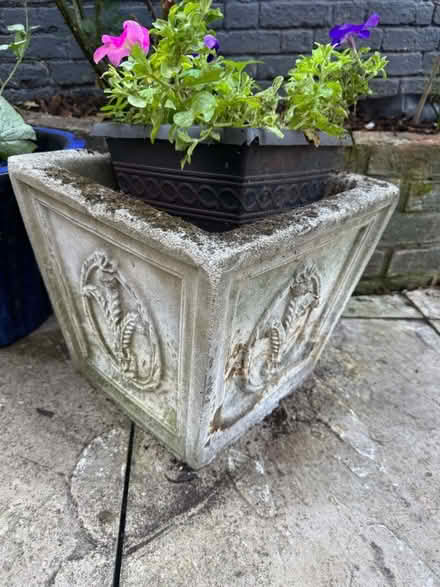 Photo of free Cement pot (Berkhamsted HP4) #1