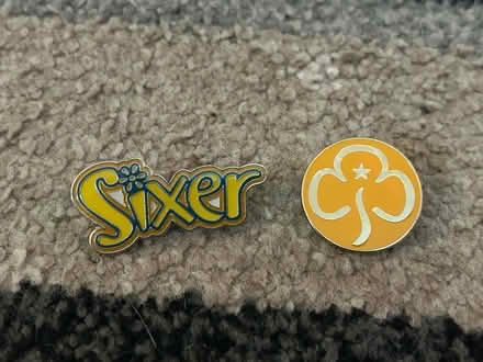 Photo of free Brownie annual and 2 pin badges (Jennetts park RG12) #2